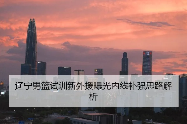 辽宁男篮试训新外援曝光内线补强思路解析